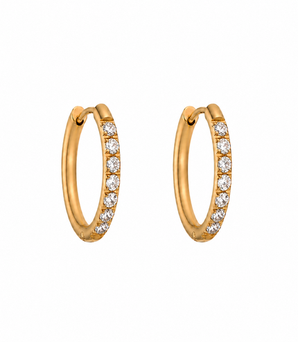 Vanness Earrings | 12mm | Gold