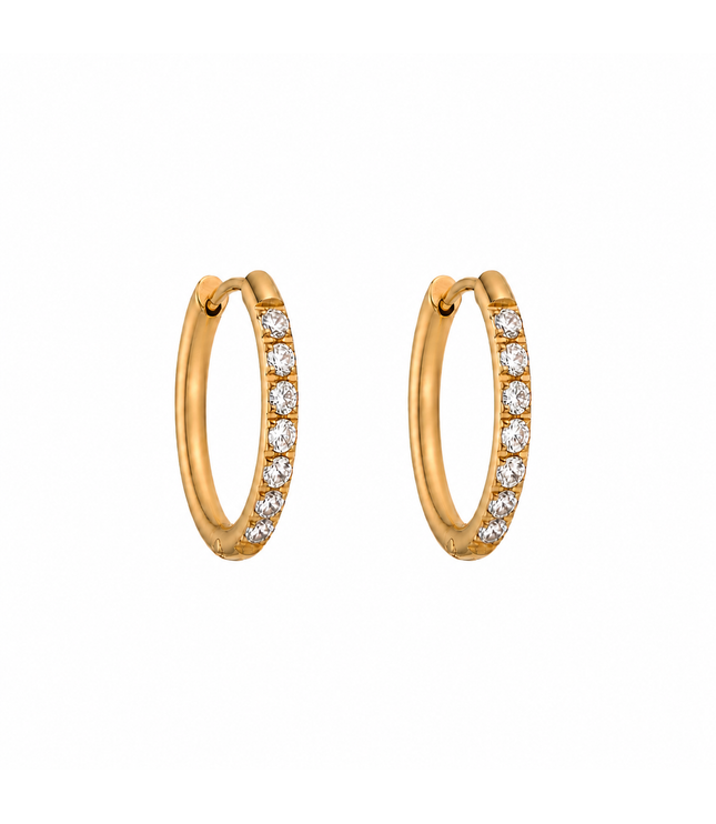 Vanness Earrings | 12mm | Gold