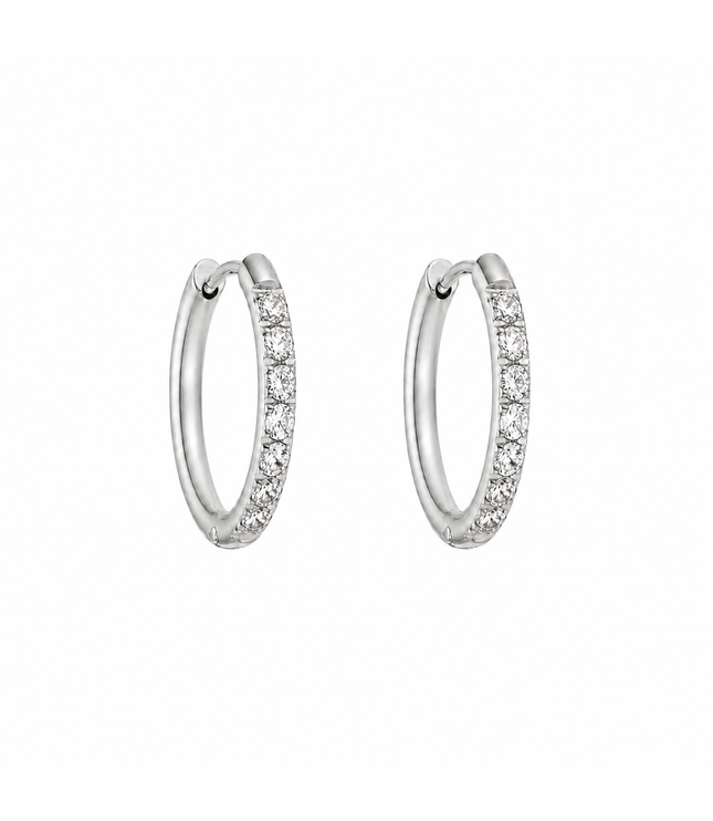 Vanness Earrings | 12mm | Silver